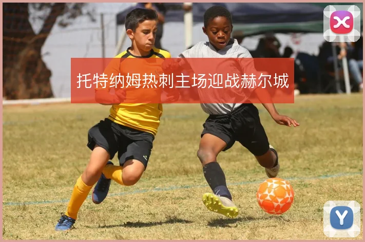 托特纳姆热刺主场迎战赫尔城
