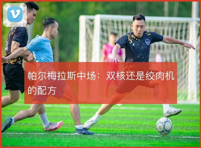 帕尔梅拉斯中场：双核还是绞肉机的配方