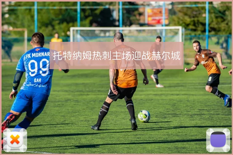 托特纳姆热刺主场迎战赫尔城