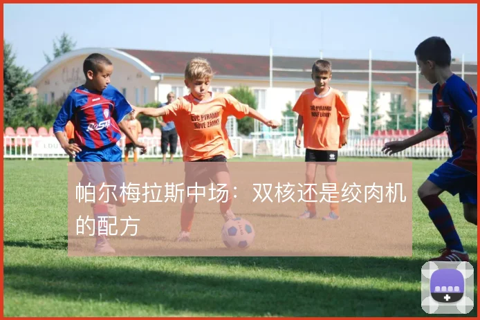 帕尔梅拉斯中场：双核还是绞肉机的配方