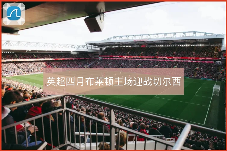 英超四月布莱顿主场迎战切尔西