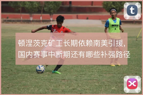 顿涅茨克矿工长期依赖南美引援，国内赛事中断期还有哪些补强路径